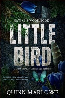 Little Bird